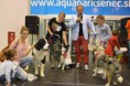 /album/fotogaleria/a10383570-428244744049609-2091575848563579979-n-jpg/