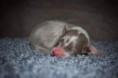 /album/fotogaleria/a16388577-1299884556717347-1856366361-o-jpg/