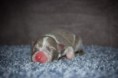 /album/fotogaleria/img-9232-jpg/