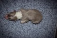 /album/fotogaleria/img-9233-jpg/