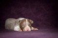 /album/fotogaleria/a16586998-1586822368012244-7961157106797093646-o-jpg/
