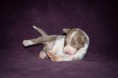 /album/fotogaleria/img-9555-jpg/