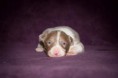 /album/fotogaleria/img-9566-jpg/