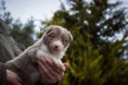 /album/fotogaleria/a16864728-596045710602844-4617779550461369278-n-jpg/