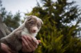 /album/fotogaleria/a17016065-1604642182896929-720238260046048787-o-jpg/