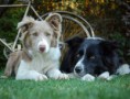 /album/fotogaleria/dsc-0111-jpg/