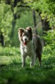 /album/fotogaleria/dsc-0018-jpg/