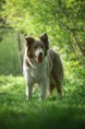 /album/fotogaleria/dsc-0021-jpg/