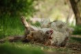 /album/fotogaleria/dsc-0039-jpg/
