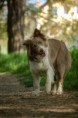 /album/fotogaleria/dsc-0042-jpg/