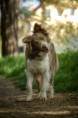 /album/fotogaleria/dsc-0043-jpg/