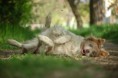 /album/fotogaleria/dsc-0050-jpg/