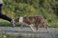 /album/fotogaleria/oli02770-jpg/