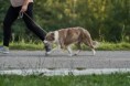 /album/fotogaleria/oli02784-jpg/