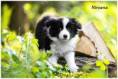 /album/fotogaleria/438676379-2769136846576473-3275141459720368097-n-jpg/