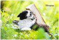 /album/fotogaleria/438714714-2769136763243148-5746552233909792584-n-jpg/
