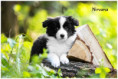 /album/fotogaleria/438770212-2769136803243144-1910556185856992481-n-jpg/