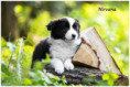 /album/fotogaleria/438799678-2769136859909805-6327341963985755080-n-jpg/