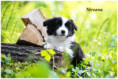 /album/fotogaleria/438801695-2769136926576465-3791146477526314797-n-jpg/